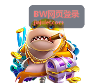 BW网页登录账号安全核对与会话检查示意