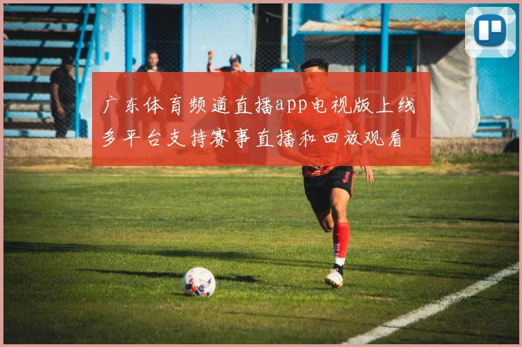 广东体育频道直播app电视版上线 多平台支持赛事直播和回放观看