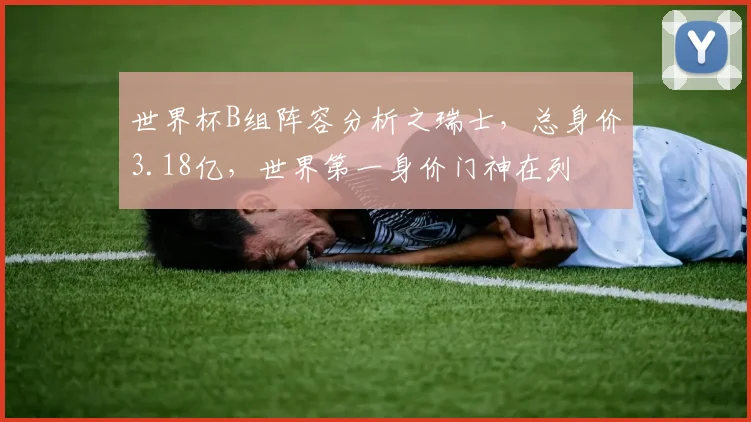 世界杯B组阵容分析之瑞士，总身价3.18亿，世界第一身价门神在列