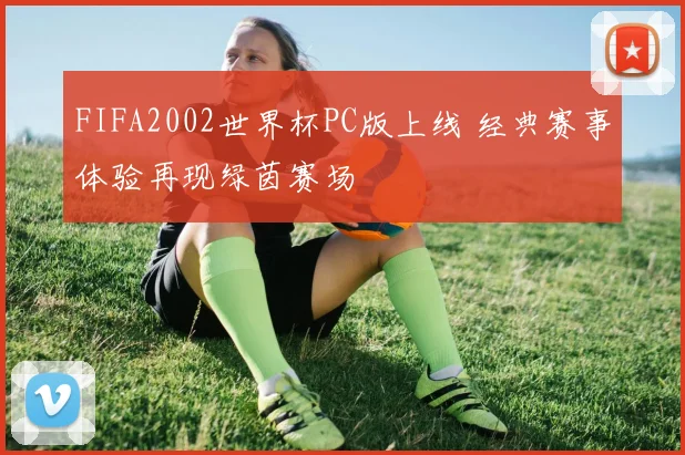 FIFA2002世界杯PC版上线 经典赛事体验再现绿茵赛场