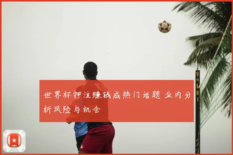 世界杯押注赚钱成热门话题 业内分析风险与机会