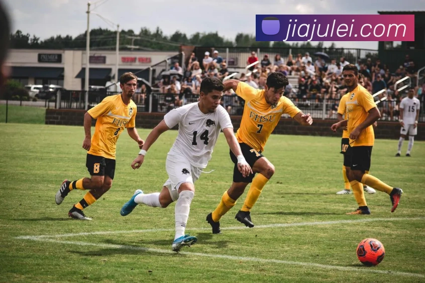 世界杯开户平台平台生态图